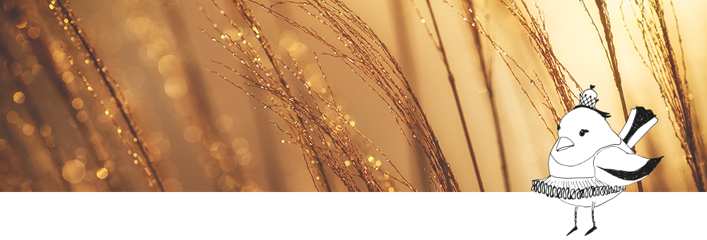 Aceites para el cabello