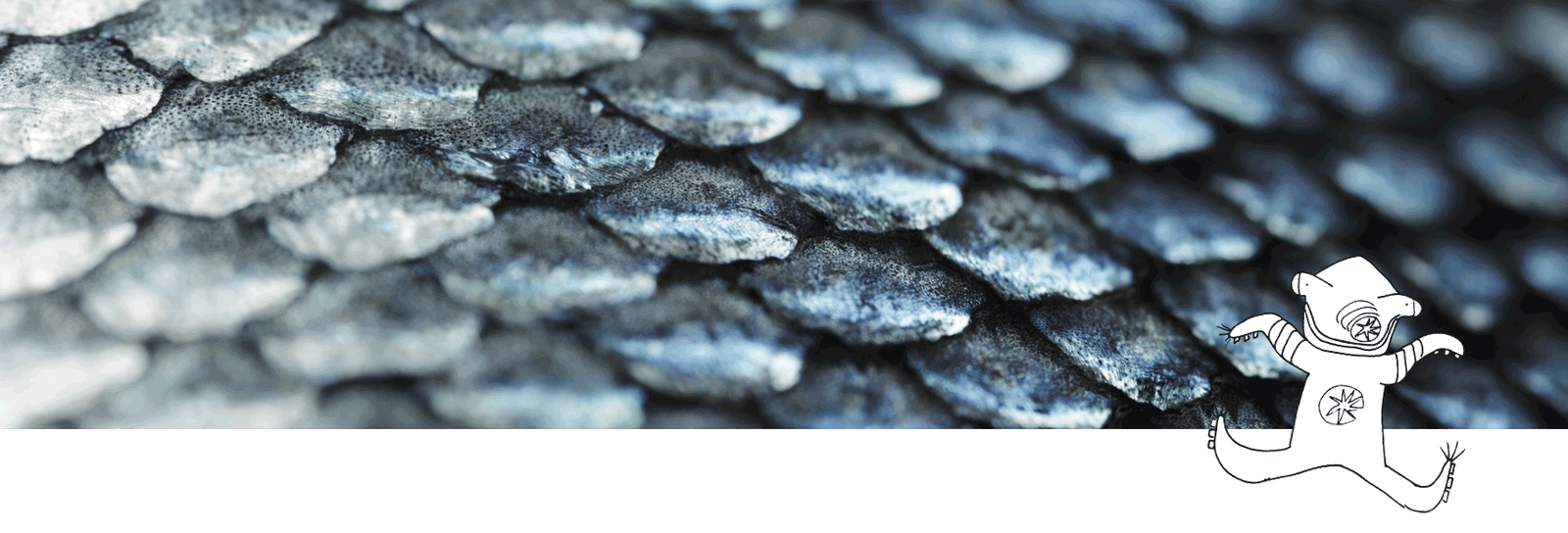 Cuero cabelludo con caspa