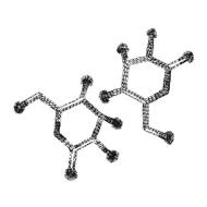 //es.davines.com/cdn/shop/t/12/assets/davines-line-naturaltech-deco-3.png?v=48525519344944069281640074298