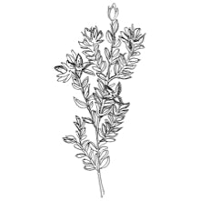 //es.davines.com/cdn/shop/t/52/assets/davines-line-finest-pigment-deco-4.jpg?v=26652696539408005481760967909