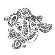 //es.davines.com/cdn/shop/t/52/assets/davines-line-naturaltech-deco-4.png?v=171189248533084119171760967922