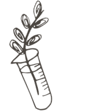 //es.davines.com/cdn/shop/t/52/assets/davines-line-single-shampoo-deco-3.png?v=134859518317833459071760967926