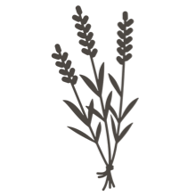 //es.davines.com/cdn/shop/t/52/assets/davines-line-single-shampoo-deco-4.png?v=10996012474181549121760967927
