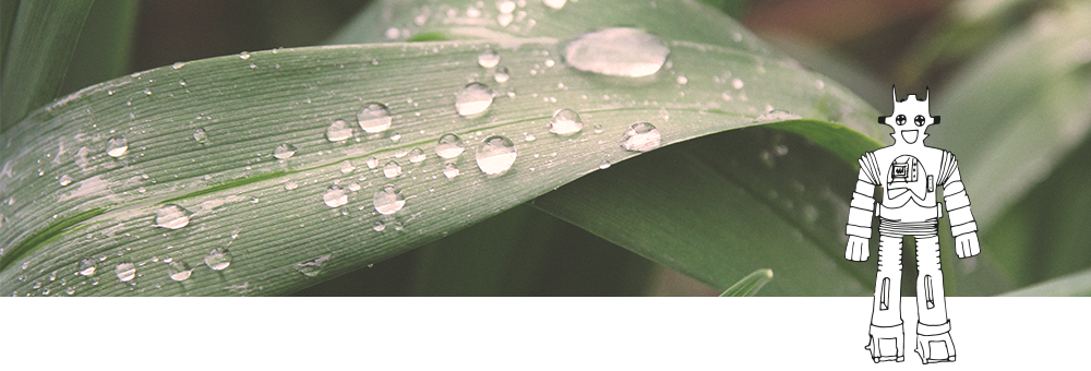 Lociónes para el cabello