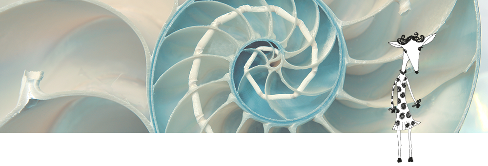 Mascarillas para el cabello