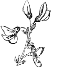 //es.davines.com/cdn/shop/t/52/assets/davines-line-finest-pigment-deco-1.jpg?v=31471944834081645081760967906