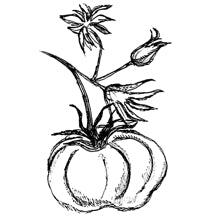 //es.davines.com/cdn/shop/t/52/assets/davines-line-finest-pigment-deco-2.jpg?v=79889010406983862501760967907