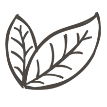 //es.davines.com/cdn/shop/t/52/assets/davines-line-single-shampoo-deco-1.png?v=183516140813493506251760967924