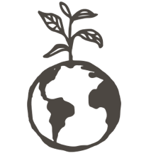 //es.davines.com/cdn/shop/t/52/assets/davines-line-single-shampoo-deco-2.png?v=137127386204860403571760967925